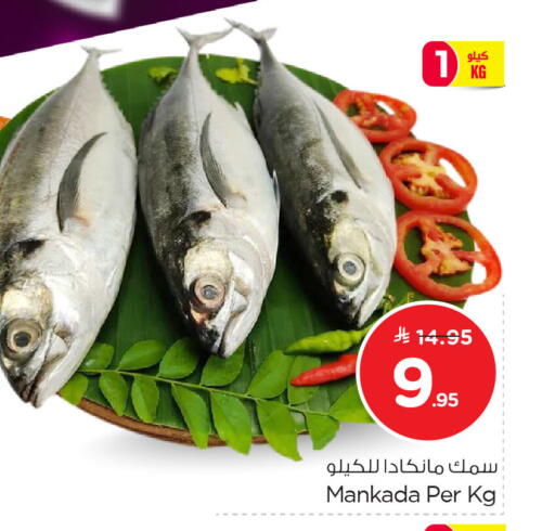 available at نستو in مملكة العربية السعودية, السعودية, سعودية - الخبر‎