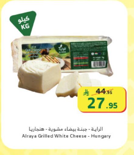 available at الراية in مملكة العربية السعودية, السعودية, سعودية - تبوك