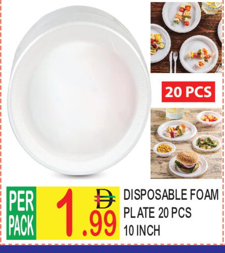 available at دريم لاند in الإمارات العربية المتحدة , الامارات - دبي