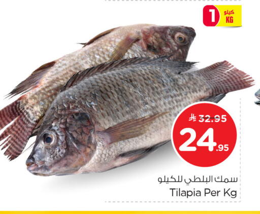 available at Nesto in KSA, Saudi Arabia, Saudi - Al Khobar