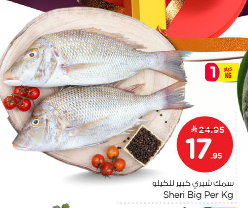 available at Nesto in KSA, Saudi Arabia, Saudi - Al Khobar