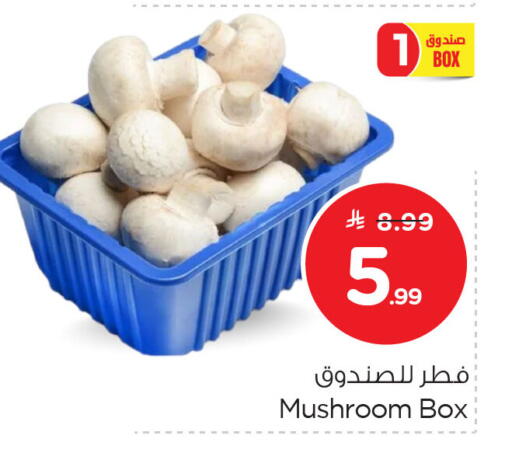 Mushroom available at Nesto in KSA, Saudi Arabia, Saudi - Al Khobar