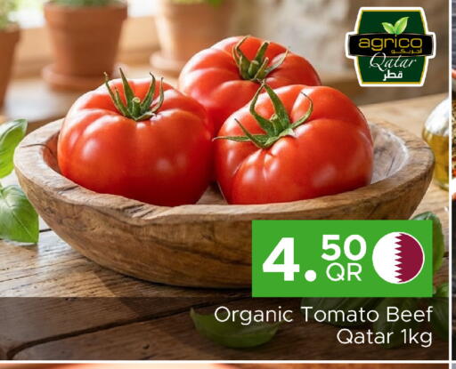 Tomato from Qatar available at Family Food Centre in Qatar - Al Wakra