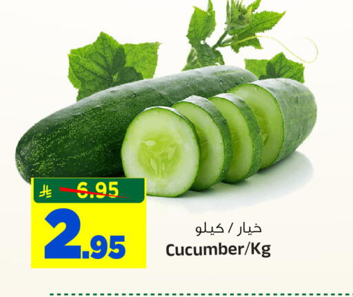 Cucumber available at المدينة هايبرماركت in مملكة العربية السعودية, السعودية, سعودية - الرياض