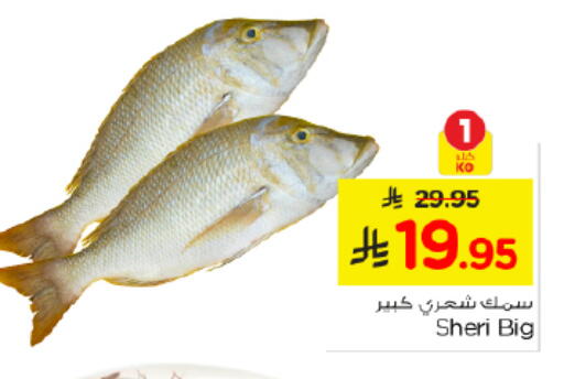 available at نستو in مملكة العربية السعودية, السعودية, سعودية - الرياض