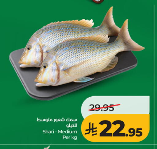 available at LULU Hypermarket in KSA, Saudi Arabia, Saudi - Tabuk