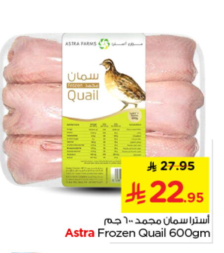 available at نستو in مملكة العربية السعودية, السعودية, سعودية - الخرج