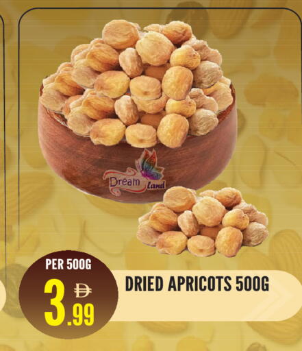 available at دريم لاند in الإمارات العربية المتحدة , الامارات - الشارقة / عجمان