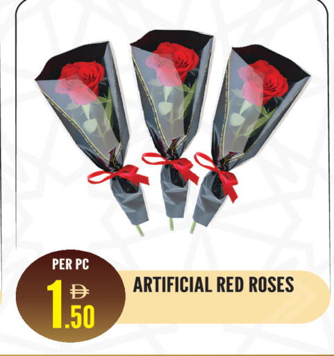 available at دريم لاند in الإمارات العربية المتحدة , الامارات - الشارقة / عجمان