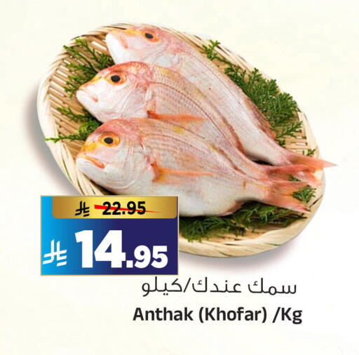 available at المدينة هايبرماركت in مملكة العربية السعودية, السعودية, سعودية - الرياض