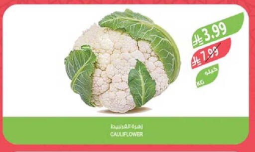 Cauliflower available at المزرعة in مملكة العربية السعودية, السعودية, سعودية - جدة