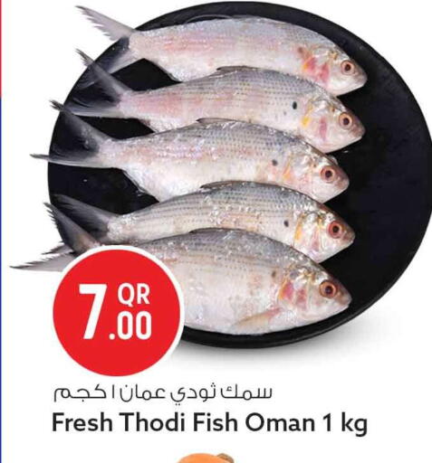 available at سفاري هايبر ماركت in قطر - أم صلال