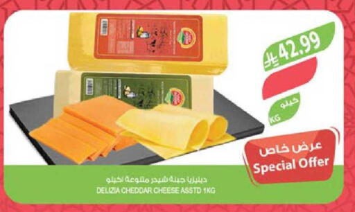 available at Farm  in KSA, Saudi Arabia, Saudi - Sakaka