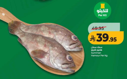 available at LULU Hypermarket in KSA, Saudi Arabia, Saudi - Al-Kharj