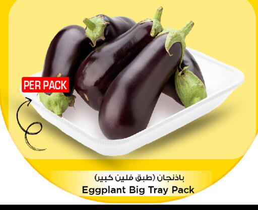 Eggplant available at مارك & سيف in مملكة العربية السعودية, السعودية, سعودية - الرياض