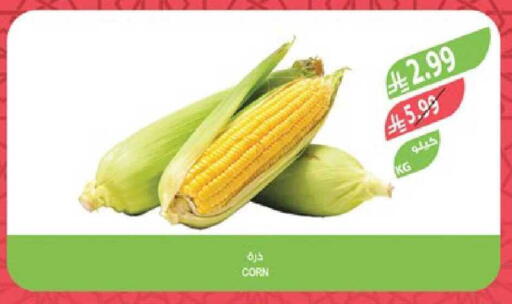 available at Farm  in KSA, Saudi Arabia, Saudi - Sakaka