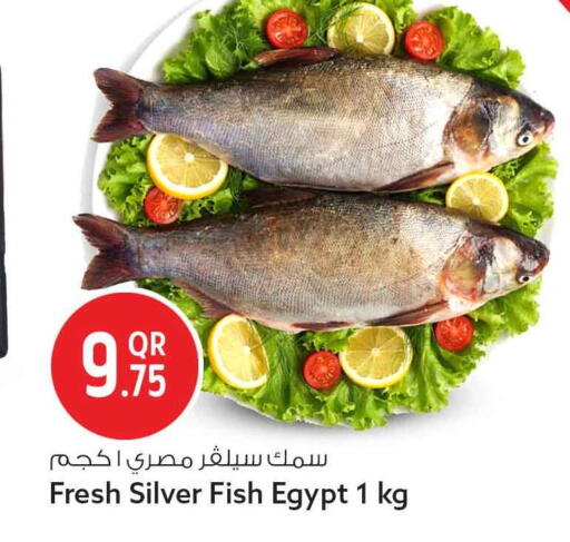 available at سفاري هايبر ماركت in قطر - أم صلال