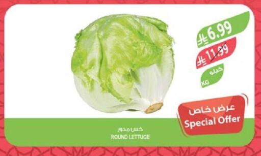 Lettuce available at المزرعة in مملكة العربية السعودية, السعودية, سعودية - سكاكا