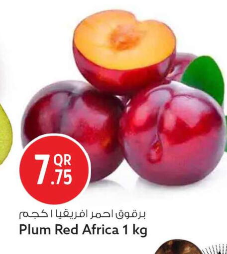 Plum available at سفاري هايبر ماركت in قطر - الضعاين