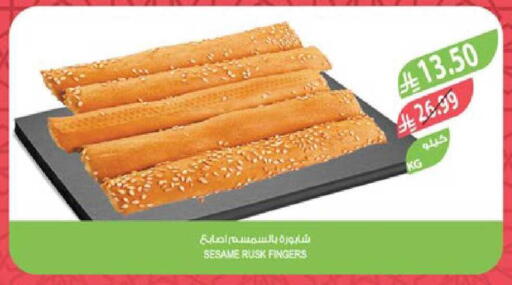 Sesame available at Farm  in KSA, Saudi Arabia, Saudi - Sakaka