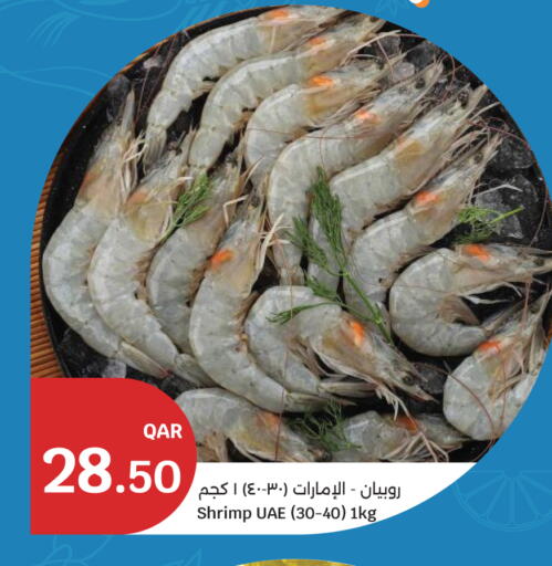 available at سيتي هايبرماركت in قطر - الوكرة