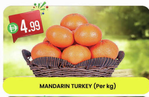 Mandarin from Turkey available at K M Trading  in UAE - Dubai