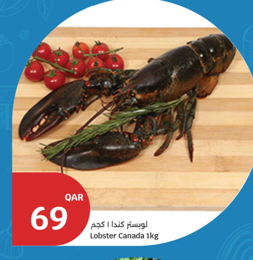 available at سيتي هايبرماركت in قطر - الوكرة