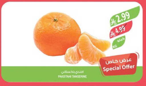 from Pakistan available at المزرعة in مملكة العربية السعودية, السعودية, سعودية - جدة