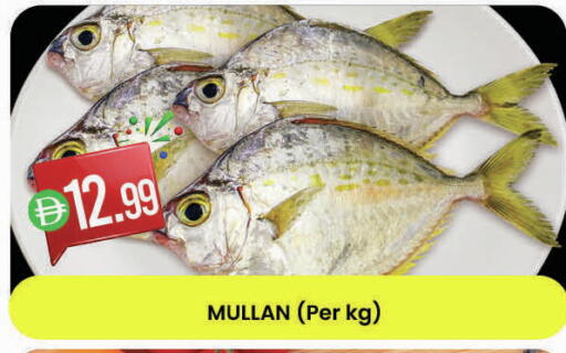 available at ك. الم. للتجارة in الإمارات العربية المتحدة , الامارات - الشارقة / عجمان