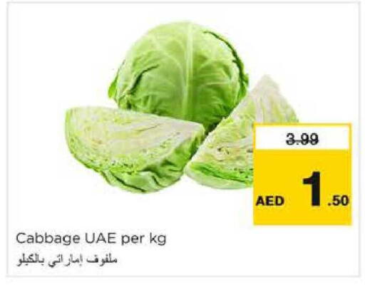 Cabbage available at نستو هايبرماركت in الإمارات العربية المتحدة , الامارات - دبي