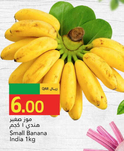 Banana available at جلف فود سنتر in قطر - الوكرة