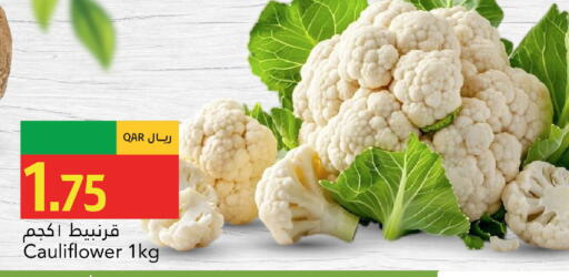 Cauliflower available at جلف فود سنتر in قطر - أم صلال