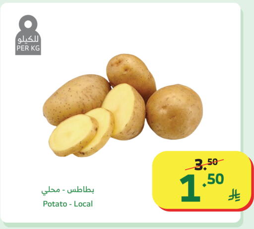 Potato available at Al Raya in KSA, Saudi Arabia, Saudi - Khamis Mushait