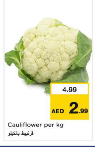 Cauliflower available at نستو هايبرماركت in الإمارات العربية المتحدة , الامارات - ٱلْفُجَيْرَة‎