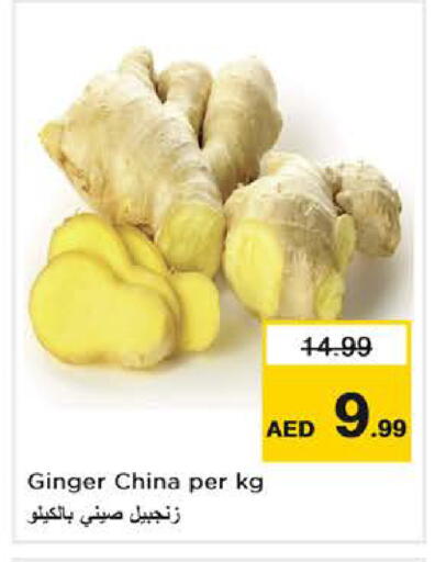 Ginger from China available at نستو هايبرماركت in الإمارات العربية المتحدة , الامارات - دبي