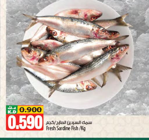 Mango available at مانجو هايبرماركت in الكويت - مدينة الكويت