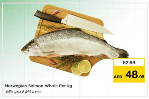 available at نستو هايبرماركت in الإمارات العربية المتحدة , الامارات - الشارقة / عجمان