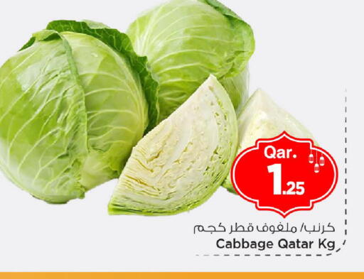 Cabbage from Qatar available at مارك & سيف in قطر - أم صلال