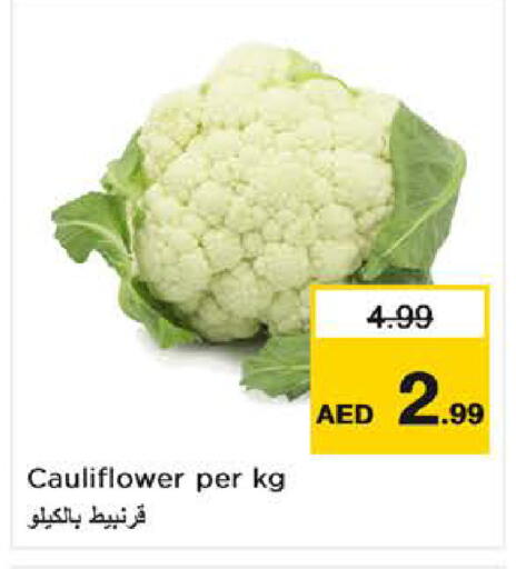 Cauliflower available at لاست تشانس in الإمارات العربية المتحدة , الامارات - ٱلْفُجَيْرَة‎