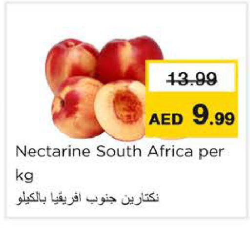 Nectarine from South Africa available at Nesto Hypermarket in UAE - Ras al Khaimah