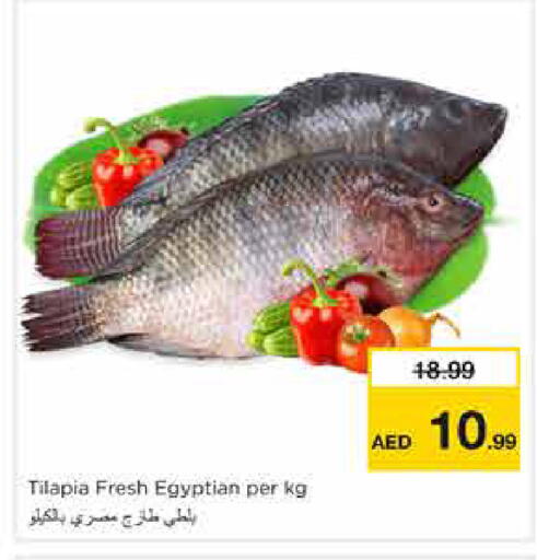 available at نستو هايبرماركت in الإمارات العربية المتحدة , الامارات - الشارقة / عجمان