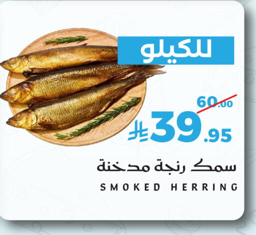 available at ميرا مارت مول in مملكة العربية السعودية, السعودية, سعودية - جدة