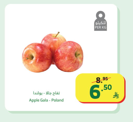 Apple from Poland available at Al Raya in KSA, Saudi Arabia, Saudi - Medina