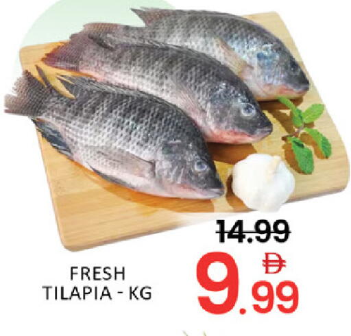 Mango available at Mango Hypermarket LLC in UAE - Dubai