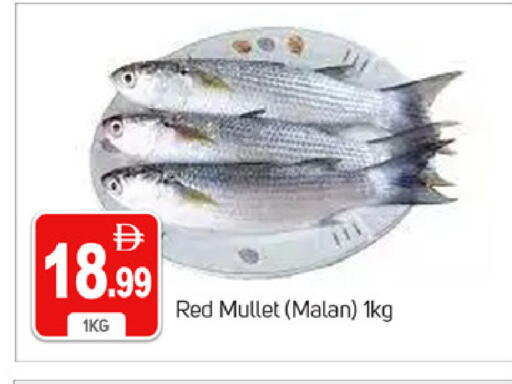 available at سوق طلال in الإمارات العربية المتحدة , الامارات - دبي