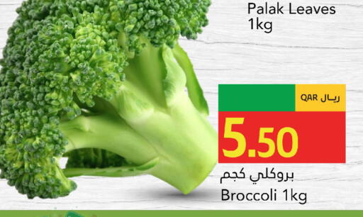 Broccoli available at جلف فود سنتر in قطر - أم صلال