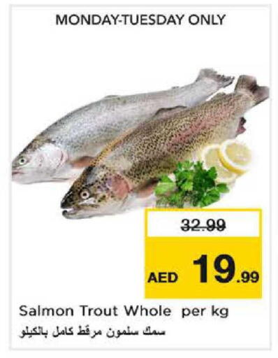 available at نستو هايبرماركت in الإمارات العربية المتحدة , الامارات - دبي