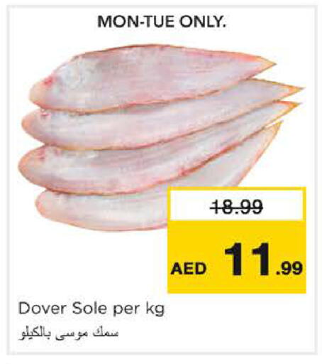 available at نستو هايبرماركت in الإمارات العربية المتحدة , الامارات - الشارقة / عجمان