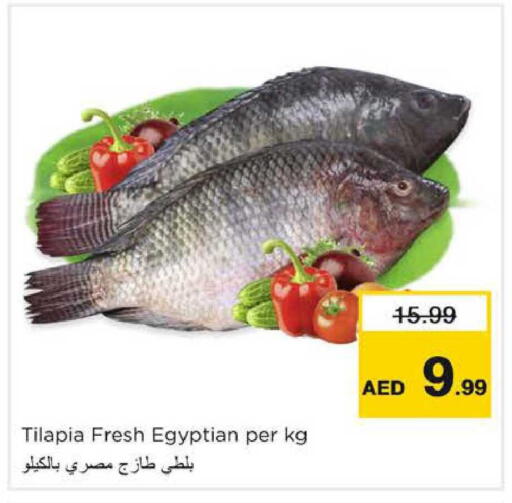 available at نستو هايبرماركت in الإمارات العربية المتحدة , الامارات - دبي