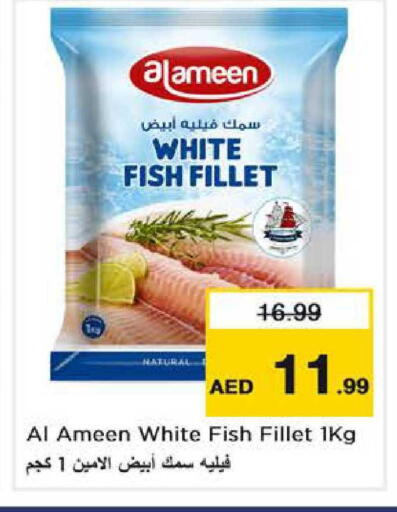 available at نستو هايبرماركت in الإمارات العربية المتحدة , الامارات - دبي